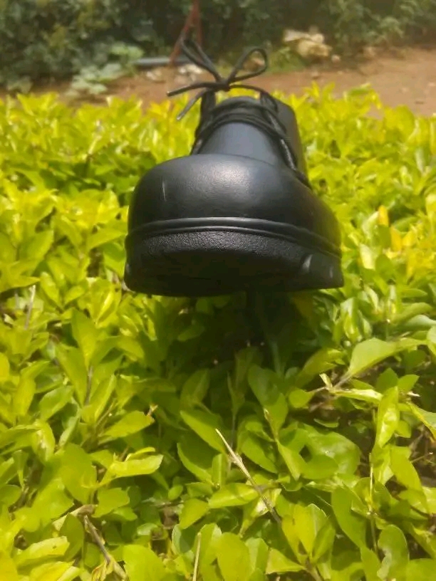 iNTYOZA School Shoes